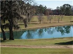 Photo of 99 Wick Willow