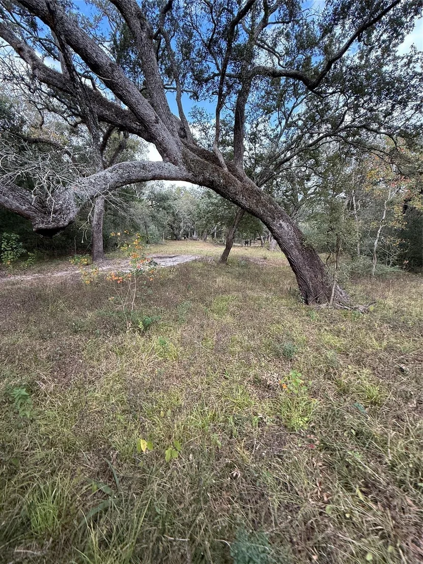 Photo of 0 Fm-1459