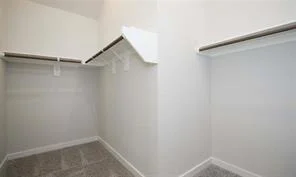 Photo of 707 Lacebark Elm Trail
