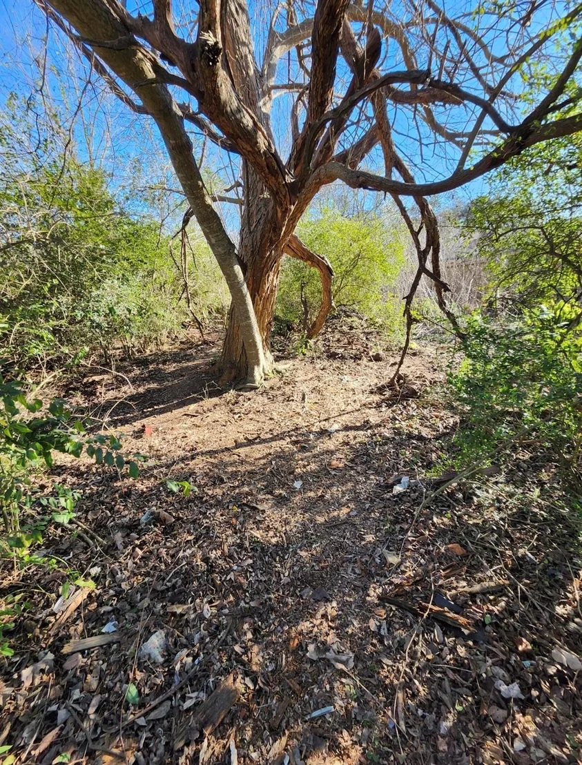 Photo of 0 Ward Road