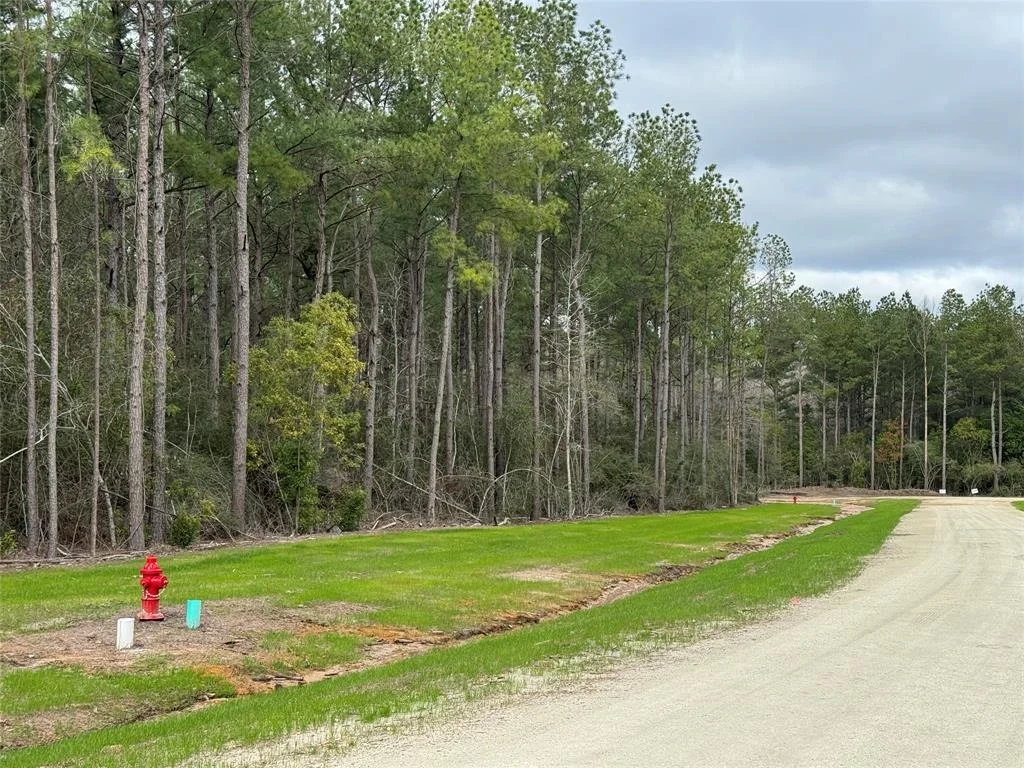 Photo of 10627 Devotion Road