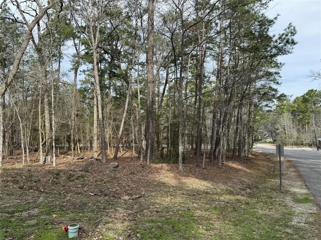 Photo of 91 S Fairway Loop