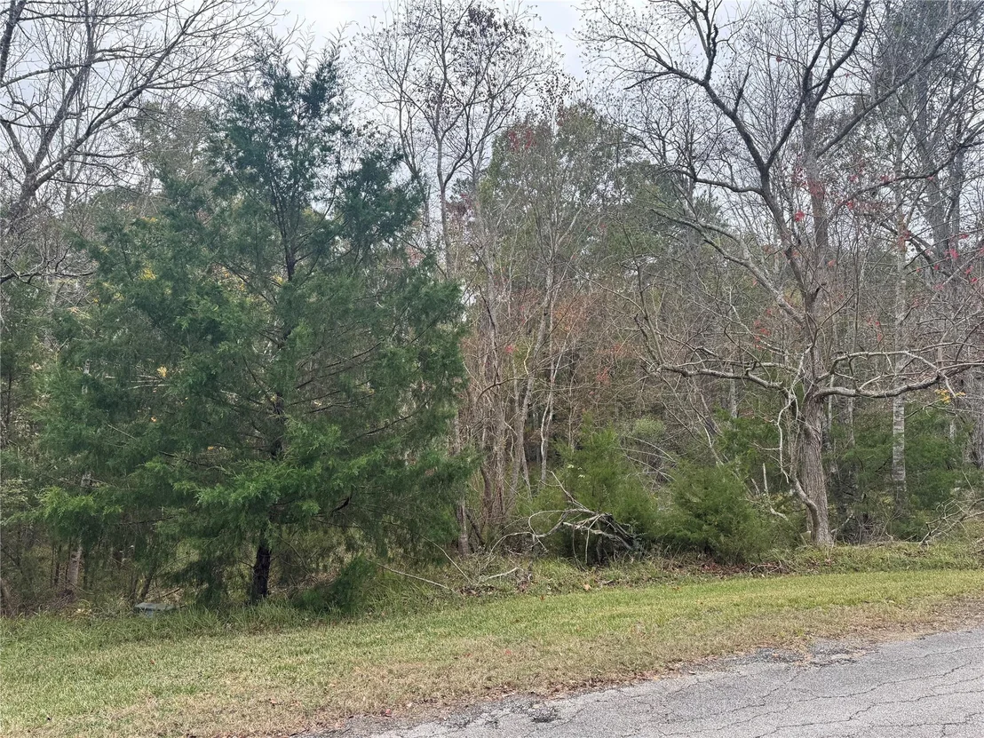 Photo of 22 S Forest Cove Loop