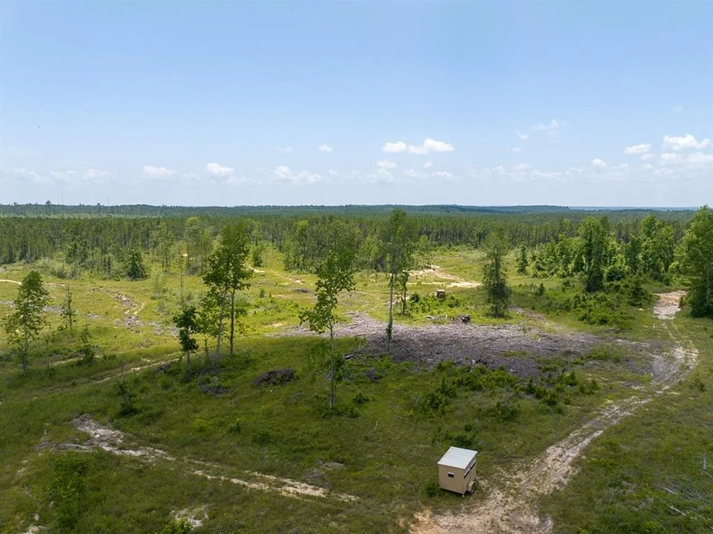 Photo of TBD Fm 355
