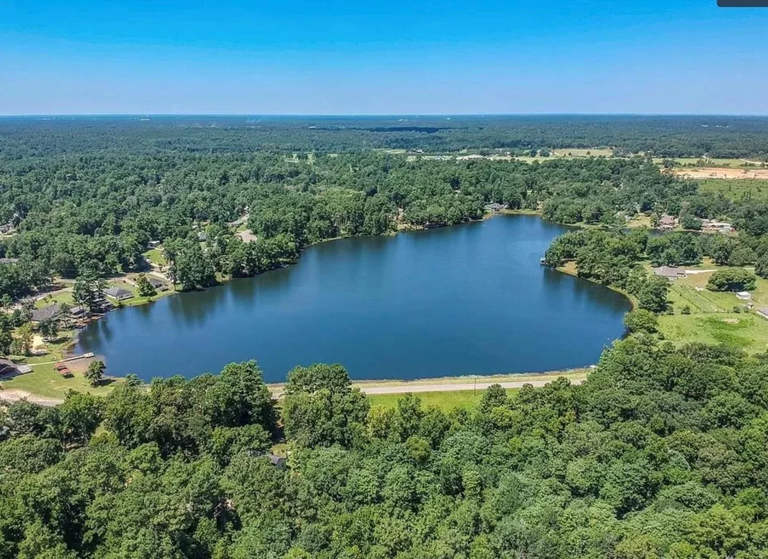 Photo of 10775 Royal Forest Drive
