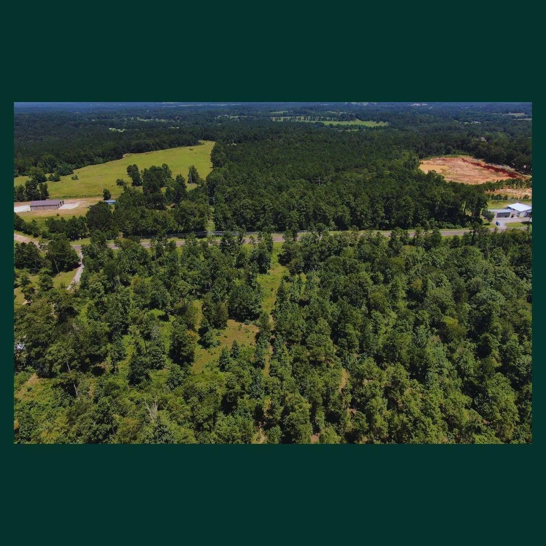 Photo of Lot 4 State Highway 150
