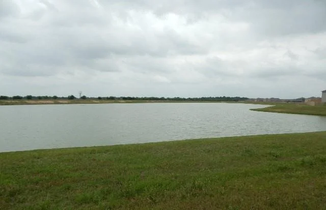 Photo of 2095 Mule Ridge Drive