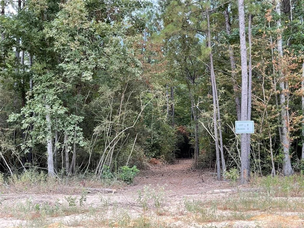 Photo of 11911 Grand North Road