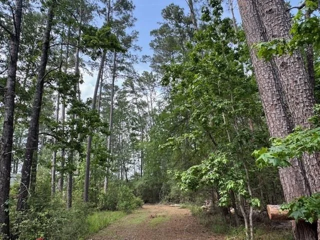 Photo of 91 Meadow Lake Drive