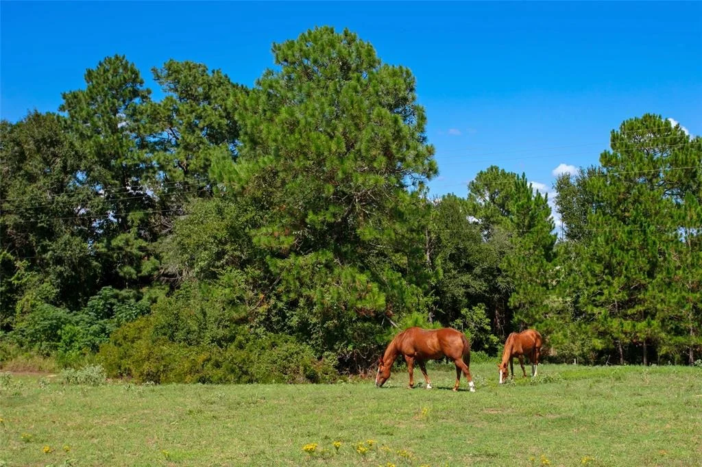 Photo of 10 Camden Hills