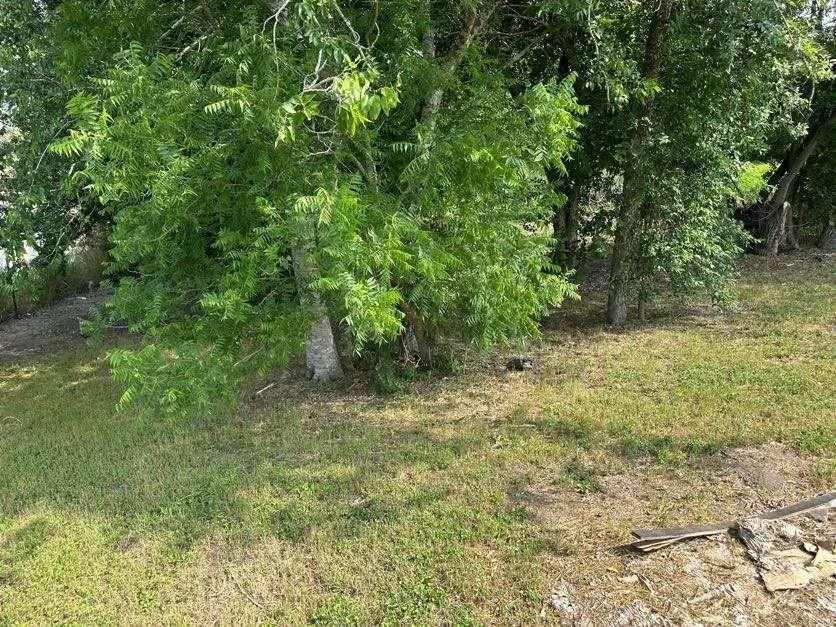 Photo of 800 Carter Street