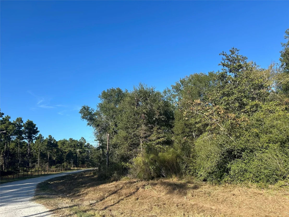 Photo of Tract 35 Fm 230