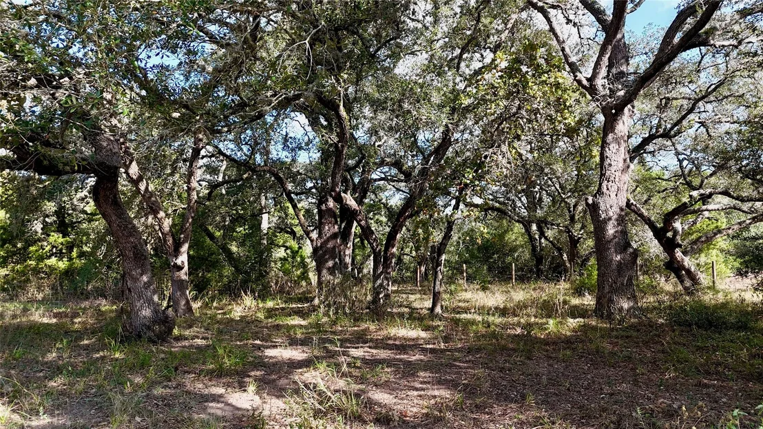 Photo of 415 County Road 457