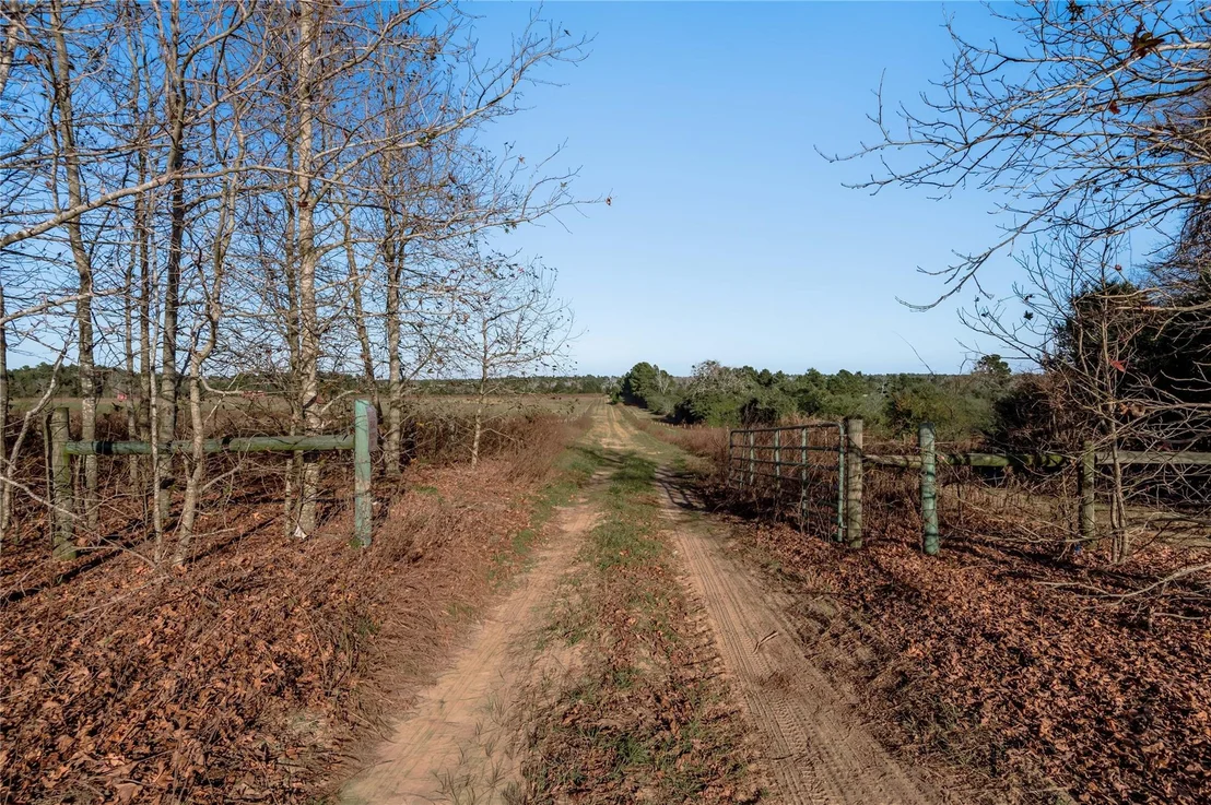 Photo of TBD County Road 204