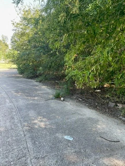 Photo of 11406 Spicewood Lane