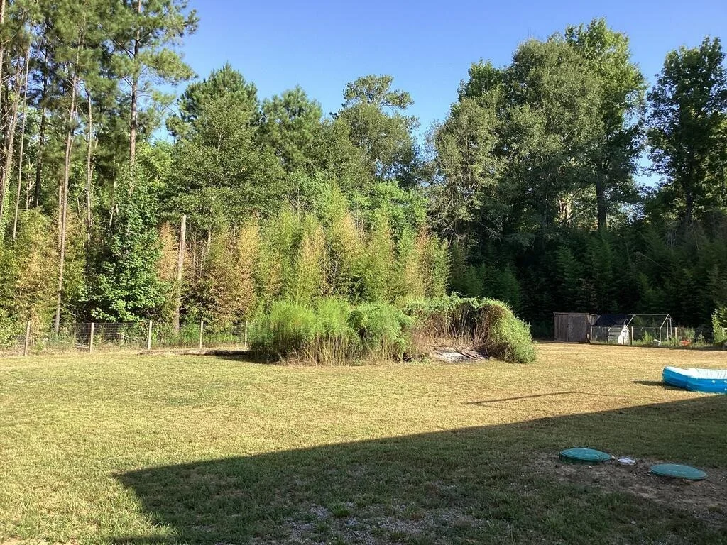 Photo of 1125 County Road 3075