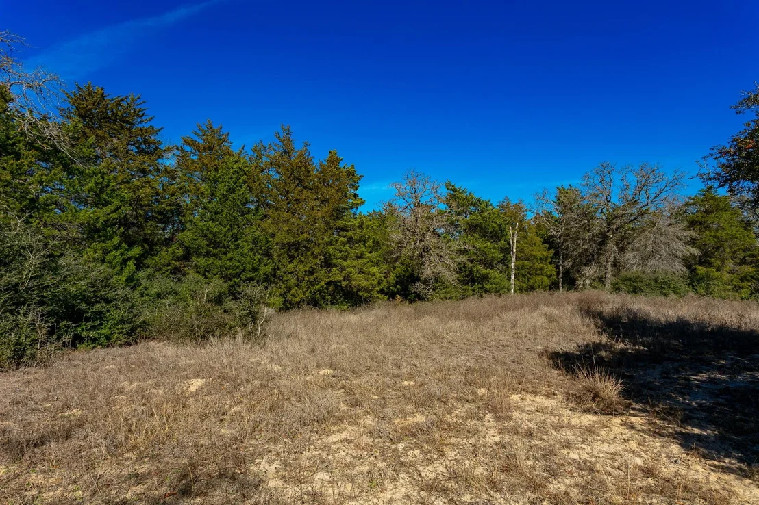 Photo of 10162 County Road 321