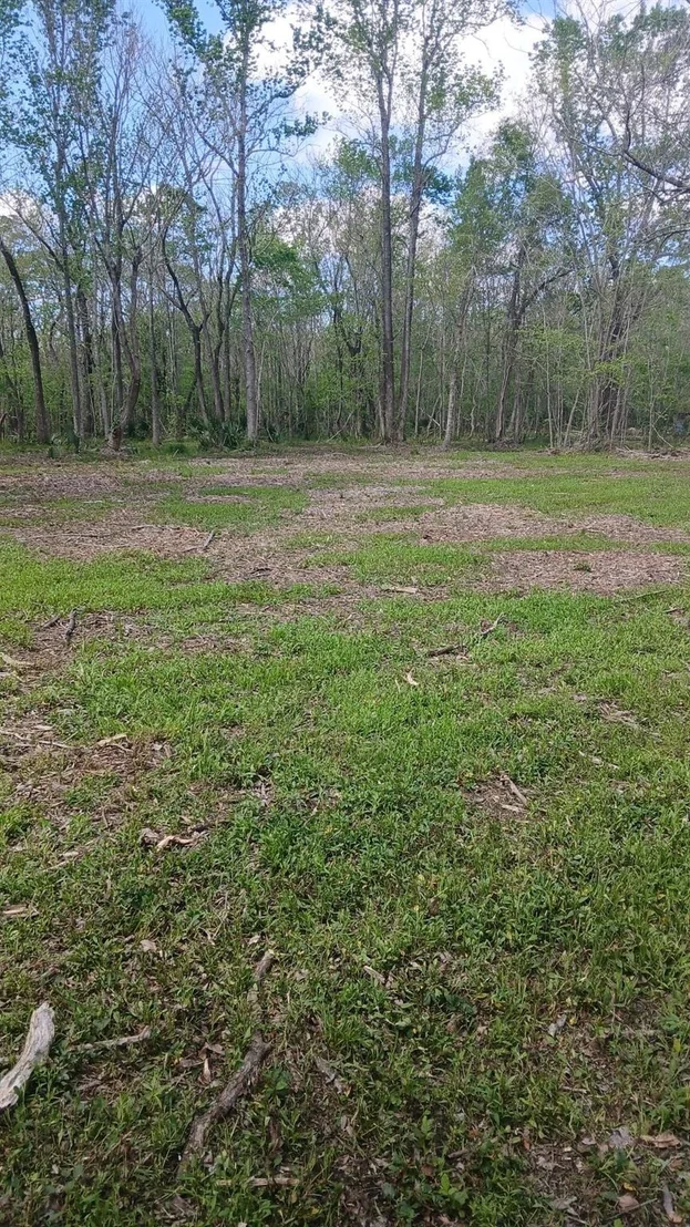 Photo of 248 County Road 185