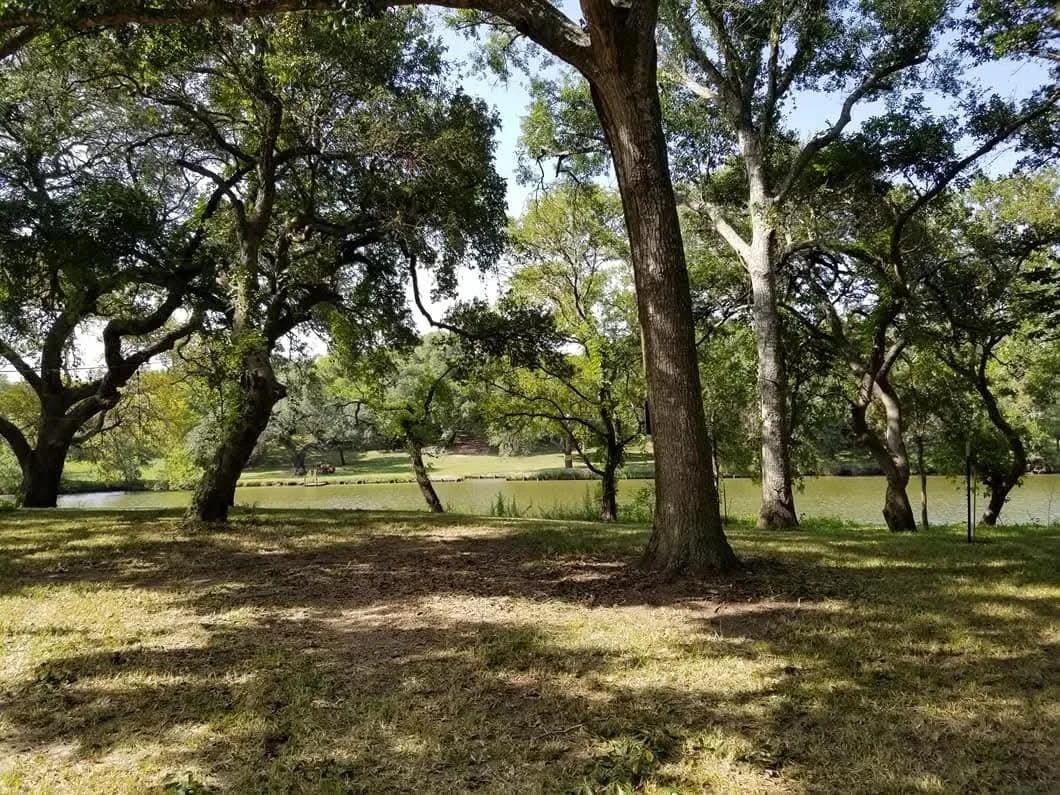 Photo of 468 Riverside Drive