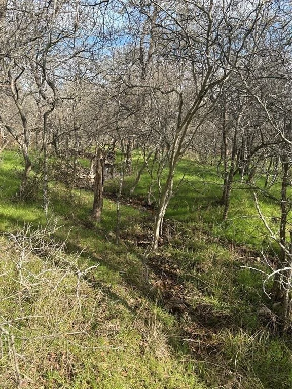 Photo of 245 Elm Forest Loop