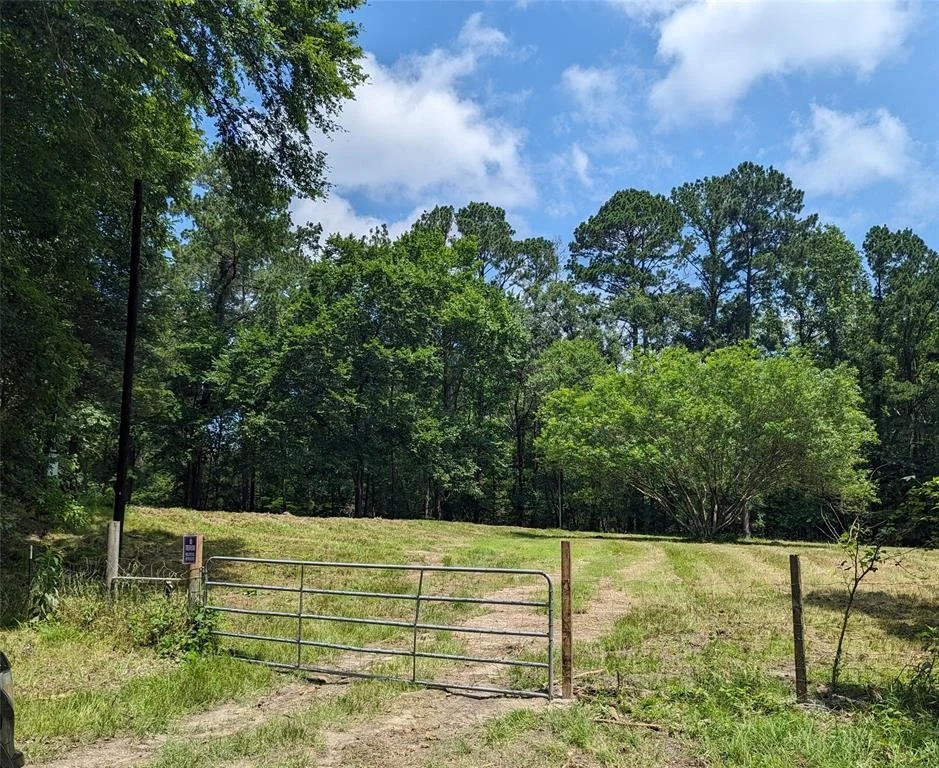 Photo of 168 Boyds T