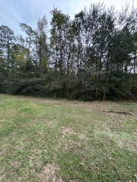 Photo of 2110 Roman Forest Boulevard