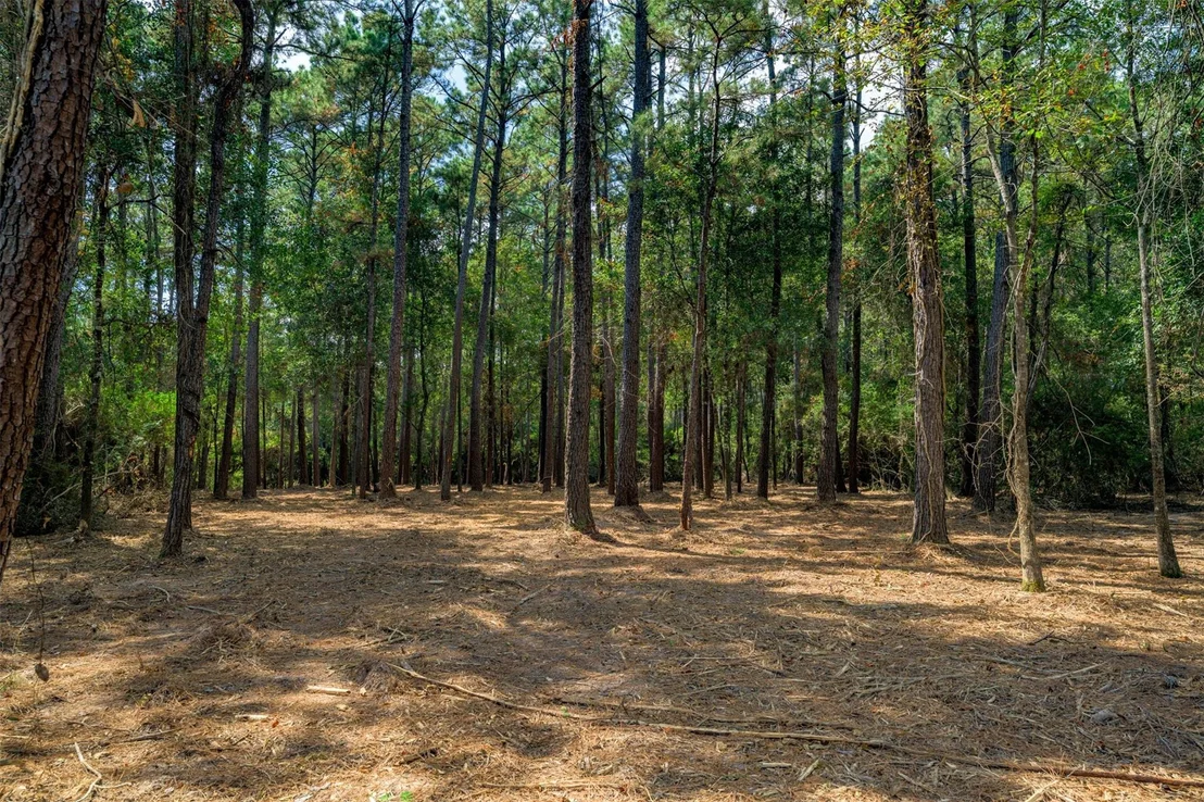 Photo of 17526 E Terrace Oaks Drive