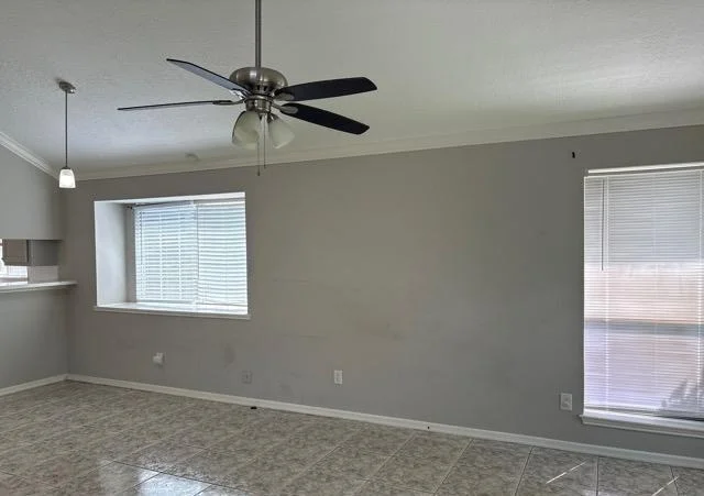 Photo of 3907 Algernon Drive