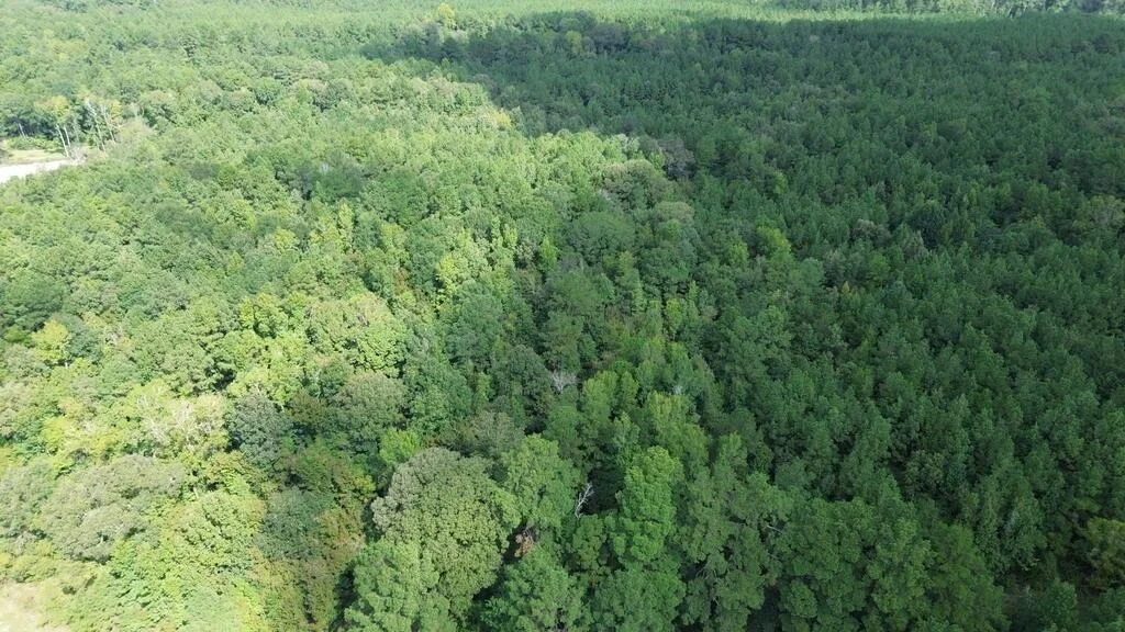 Photo of 6000 Hwy 63 W