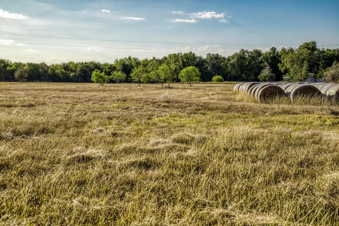 Photo of 460 County Road 328