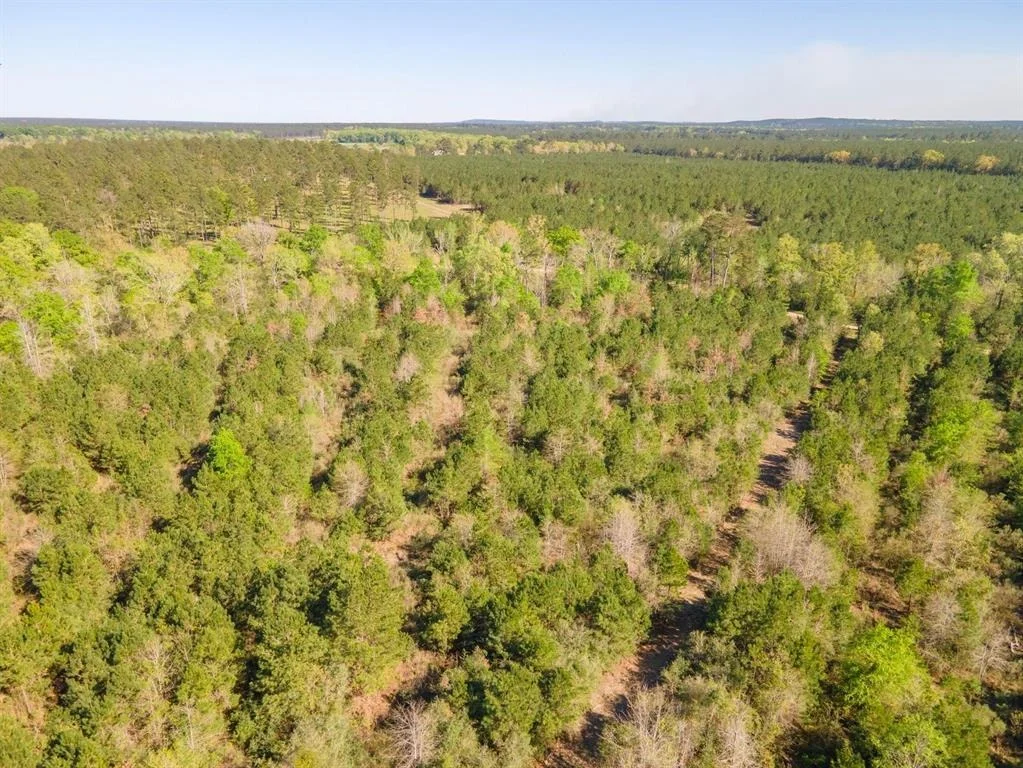Photo of TBD 2 Robert Jones Rd