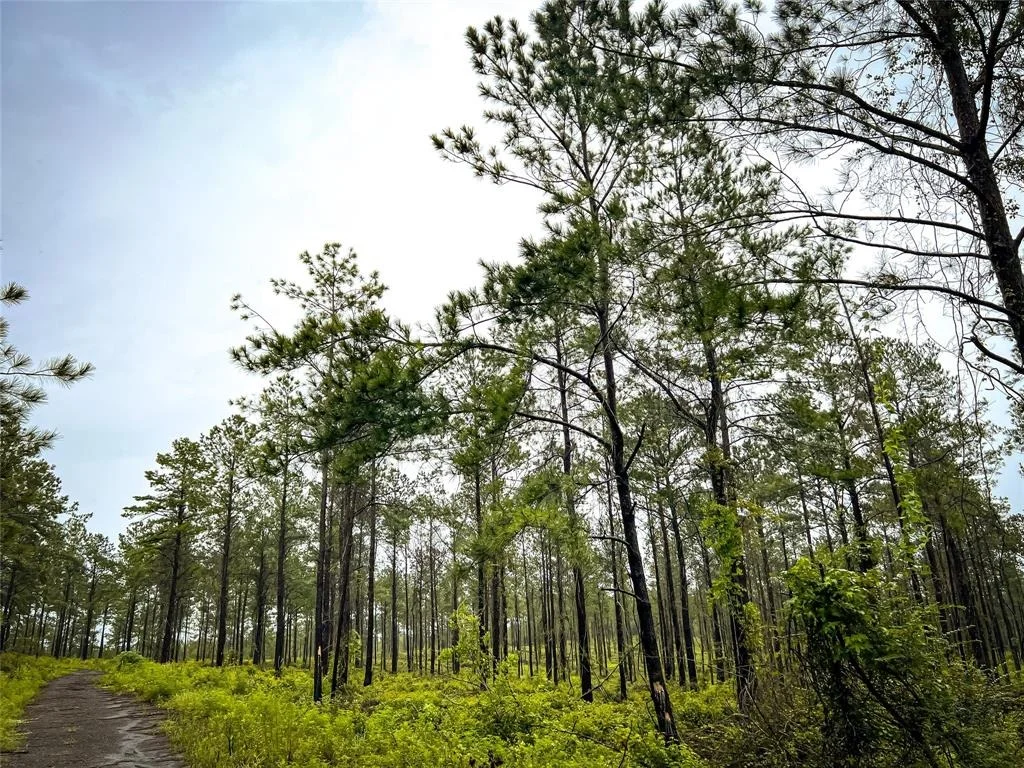 Photo of 02 Cr 258