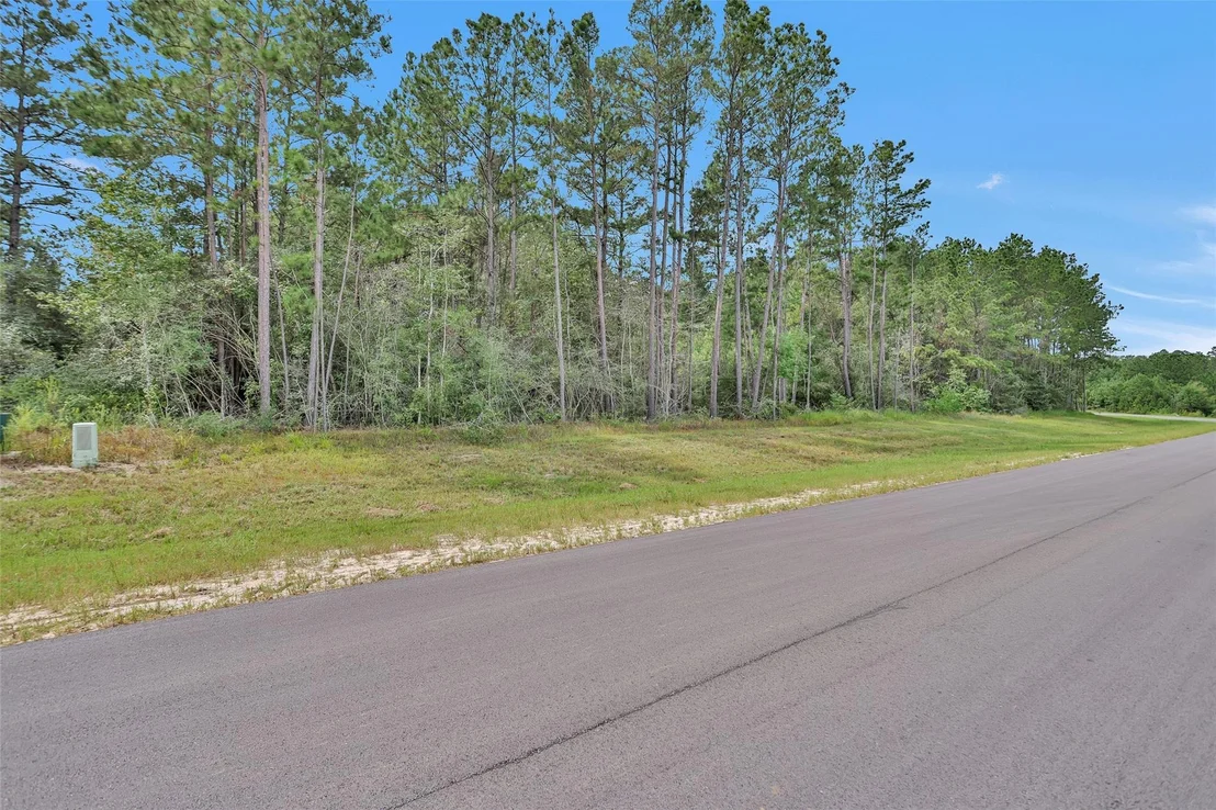 Photo of 11976 Highbranch Way