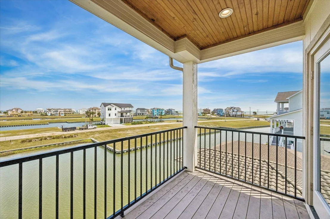 Photo of 9 Loggerhead