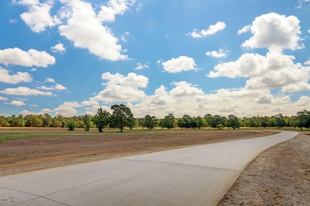 Photo of 2017 Stallion Lakes Avenue