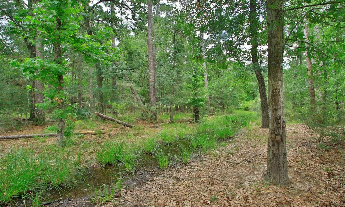 Photo of 2658 Granite River Lane