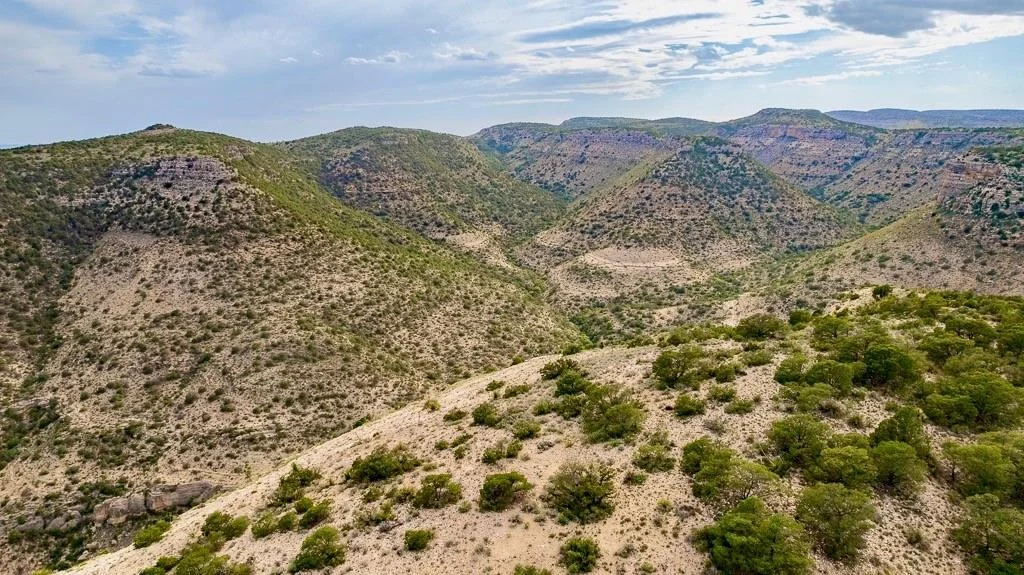 Photo of TBD Tesnus