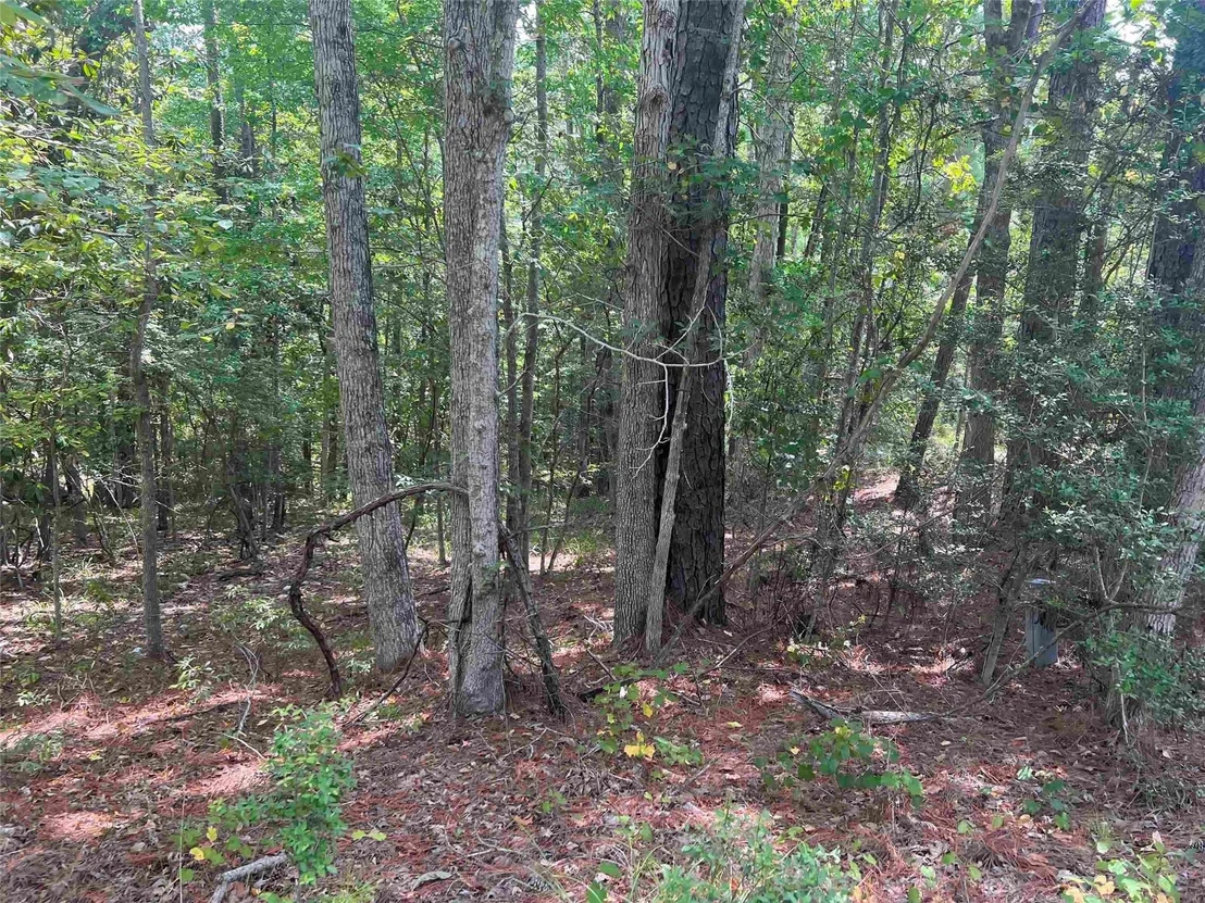 Photo of 57 Shank Drive