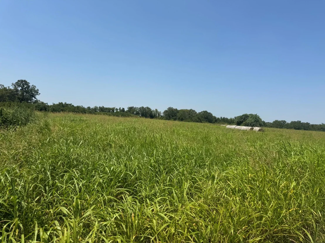 Photo of TBD County Road 230