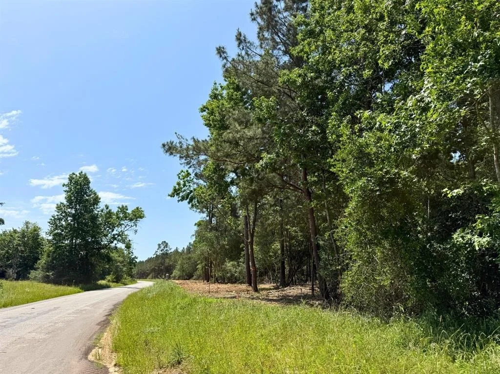 Photo of 3 Camp Ruby Road