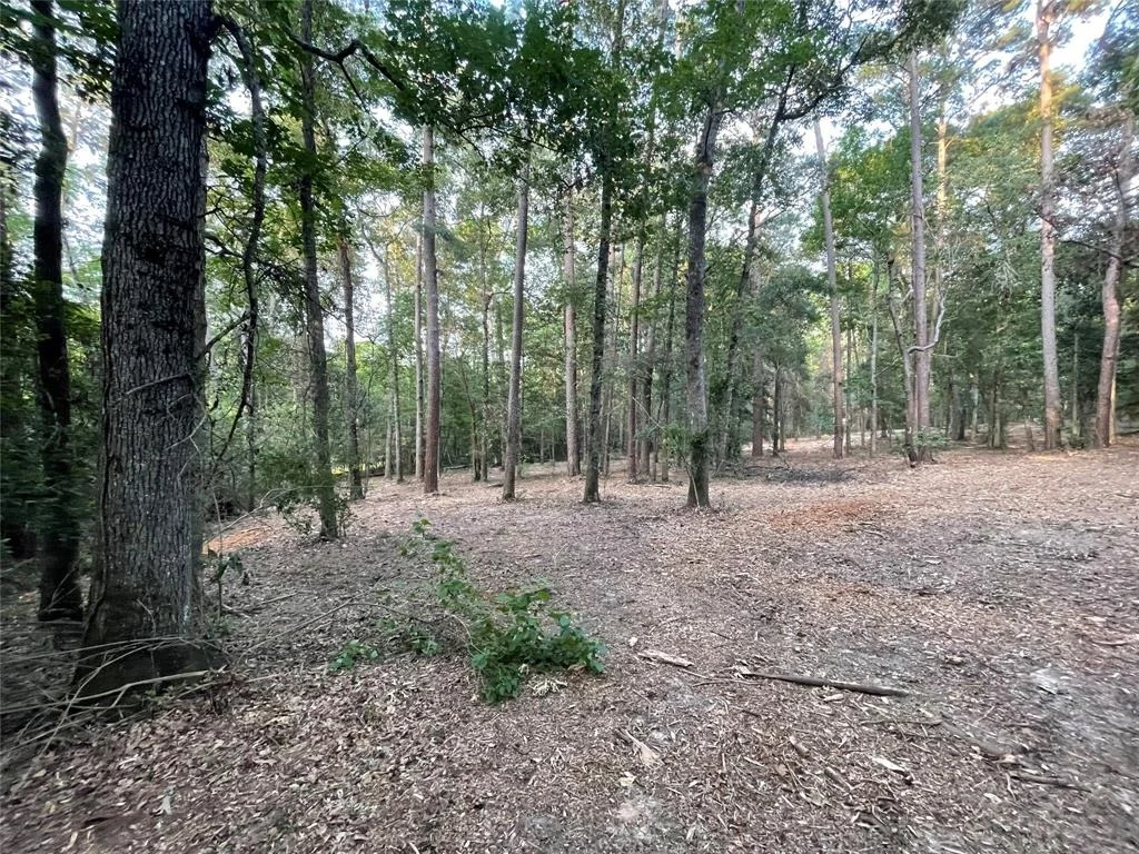 Photo of 11451 White Road