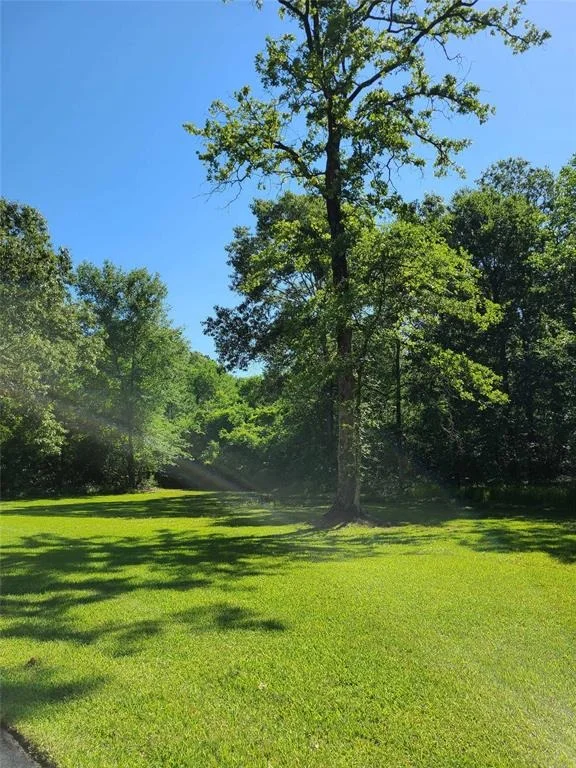 Photo of 411 Springwood Drive