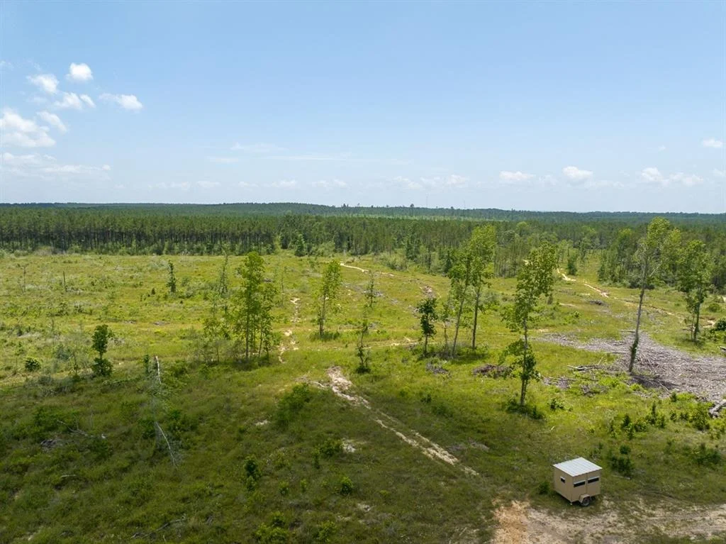 Photo of TBD Fm 355