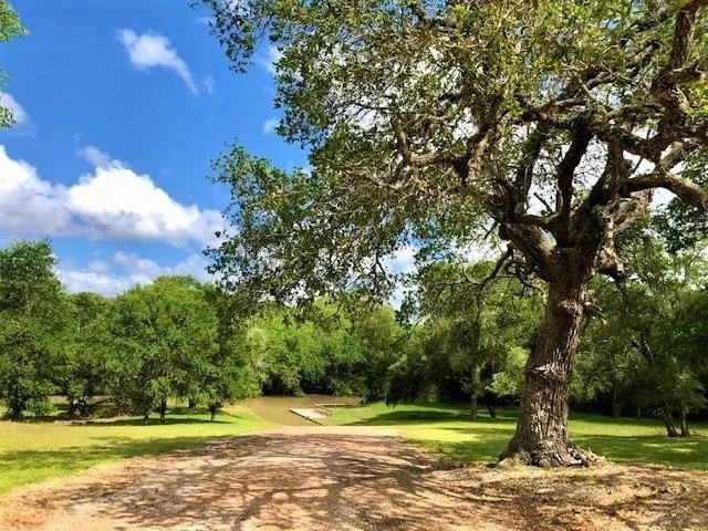 Photo of 223 River Tree Drive