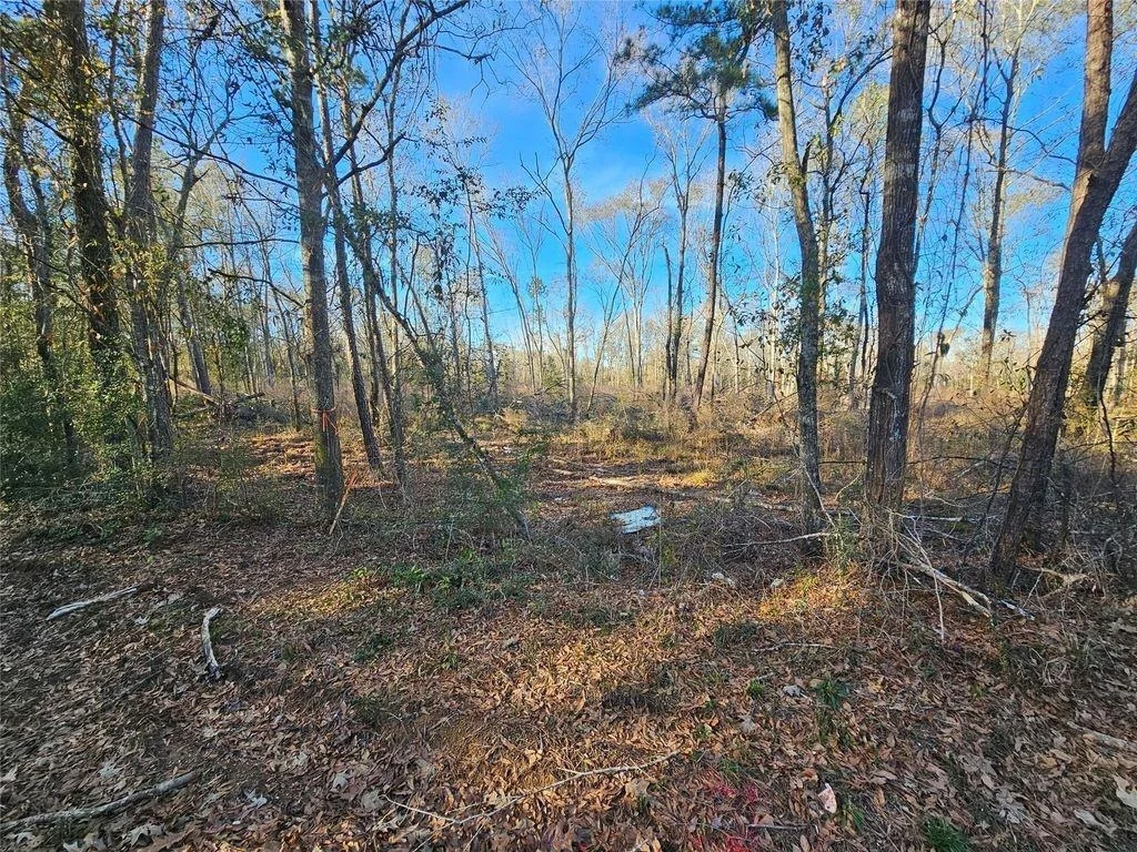 Photo of 196 Sherwood Drive