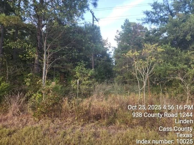 Photo of 938 County Road 1244 Road