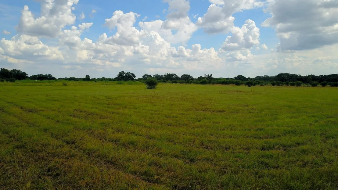 Photo of 00 Tipton Road
