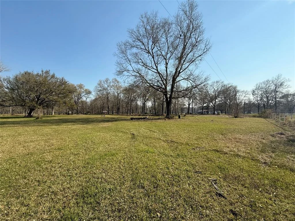 Photo of 398 County Road 2360