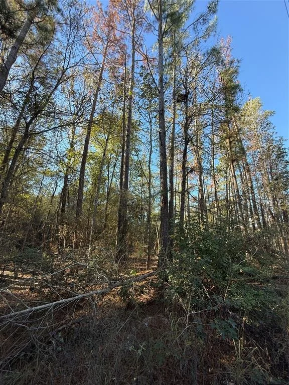 Photo of TBD Deer Run Dr