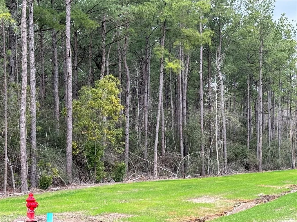 Photo of 10627 Devotion Road